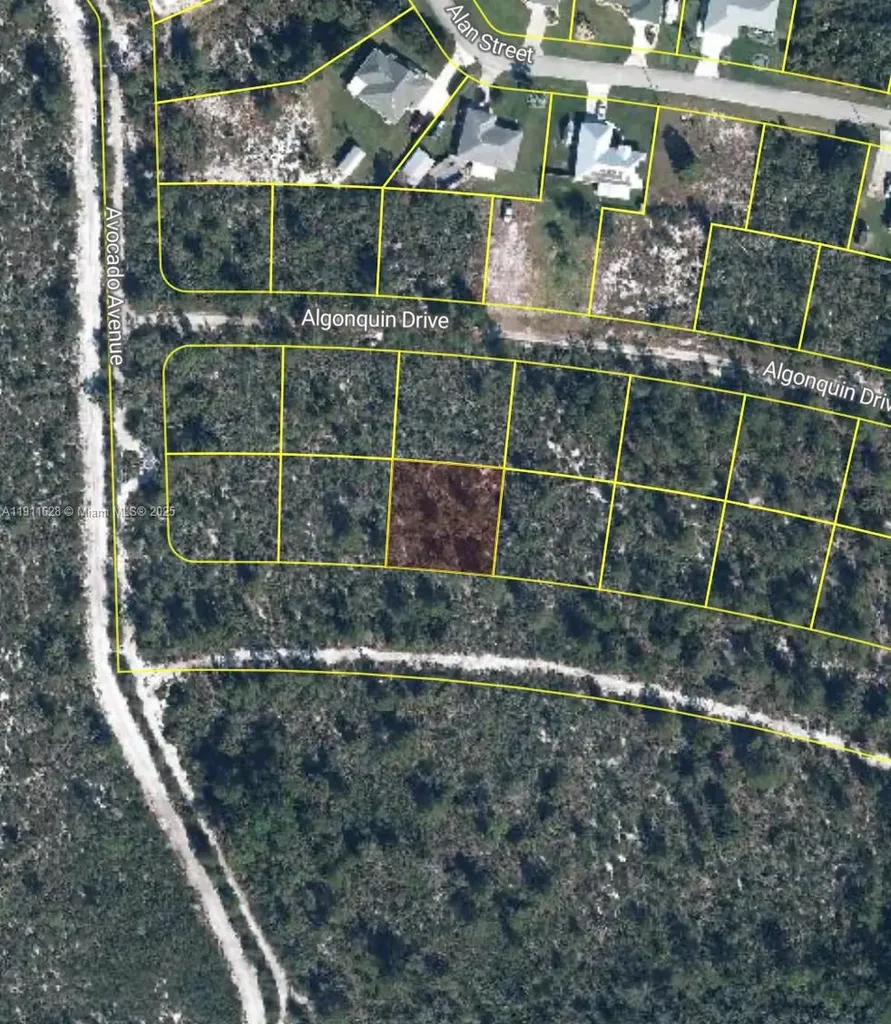 2224 Carla Avenue Sebring FL 33875