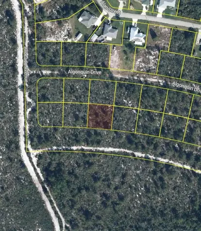 2224 Carla Avenue Sebring FL 33875
