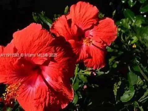 1815 Mooringline Drive Vero Beach FL 32963