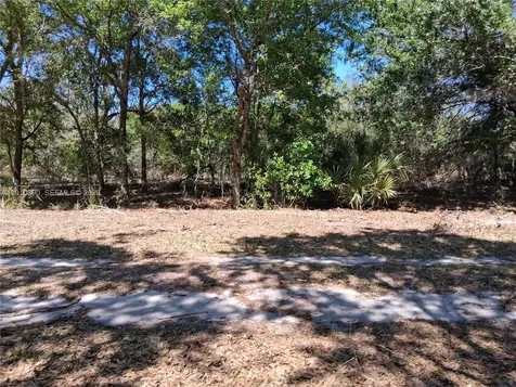 2822 W Yepremian Road Avon Park FL 33825