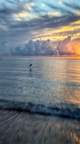 1830 S Ocean Drive Hallandale Beach FL 33009