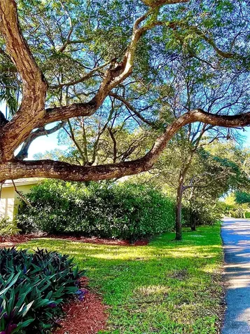 7305 SW 132nd Street Pinecrest FL 33156