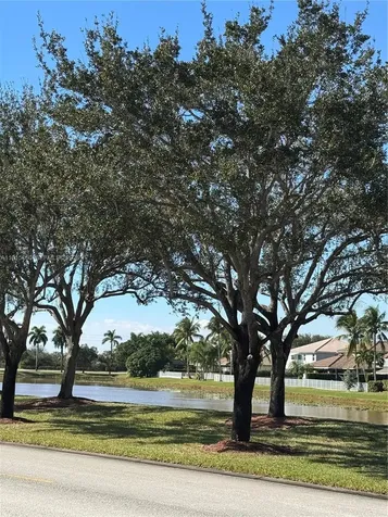 17061 NW 17th Street Pembroke Pines FL 33028