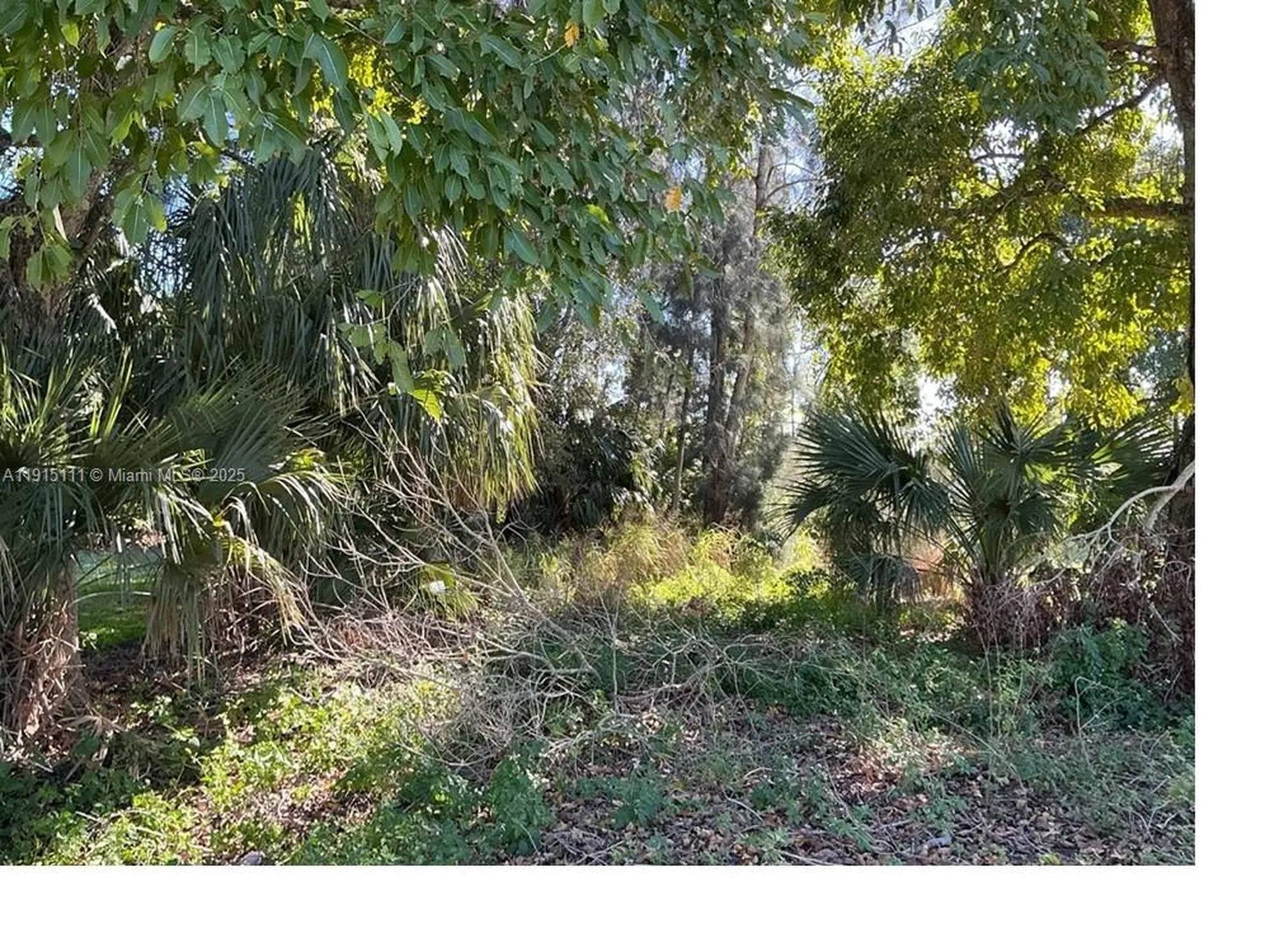1146 Della Tobias Avenue Other City - In The State Of Florida FL 33440