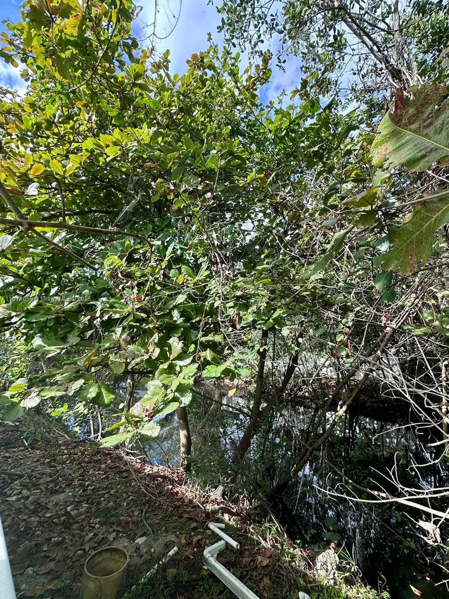 2931 NW 8th Road Fort Lauderdale FL 33311