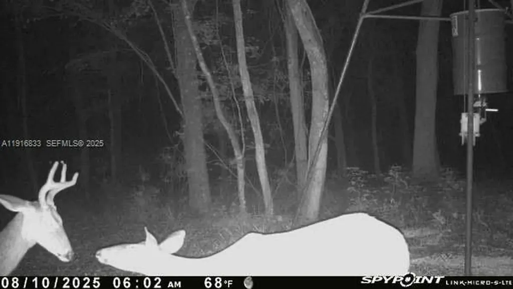 6169 County Road 209 S Other City - In The State Of Florida FL 32043