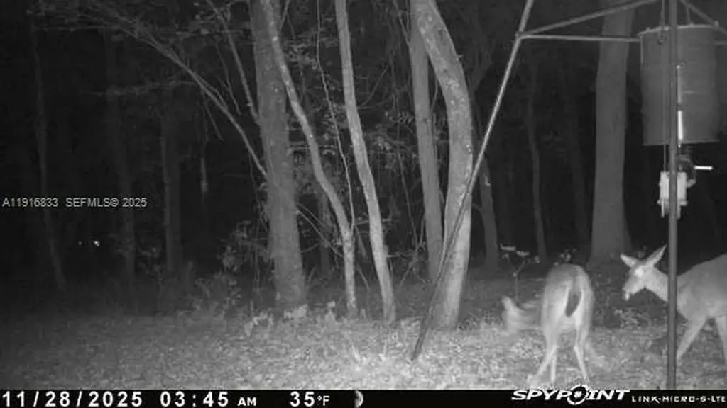 6169 County Road 209 S Other City - In The State Of Florida FL 32043