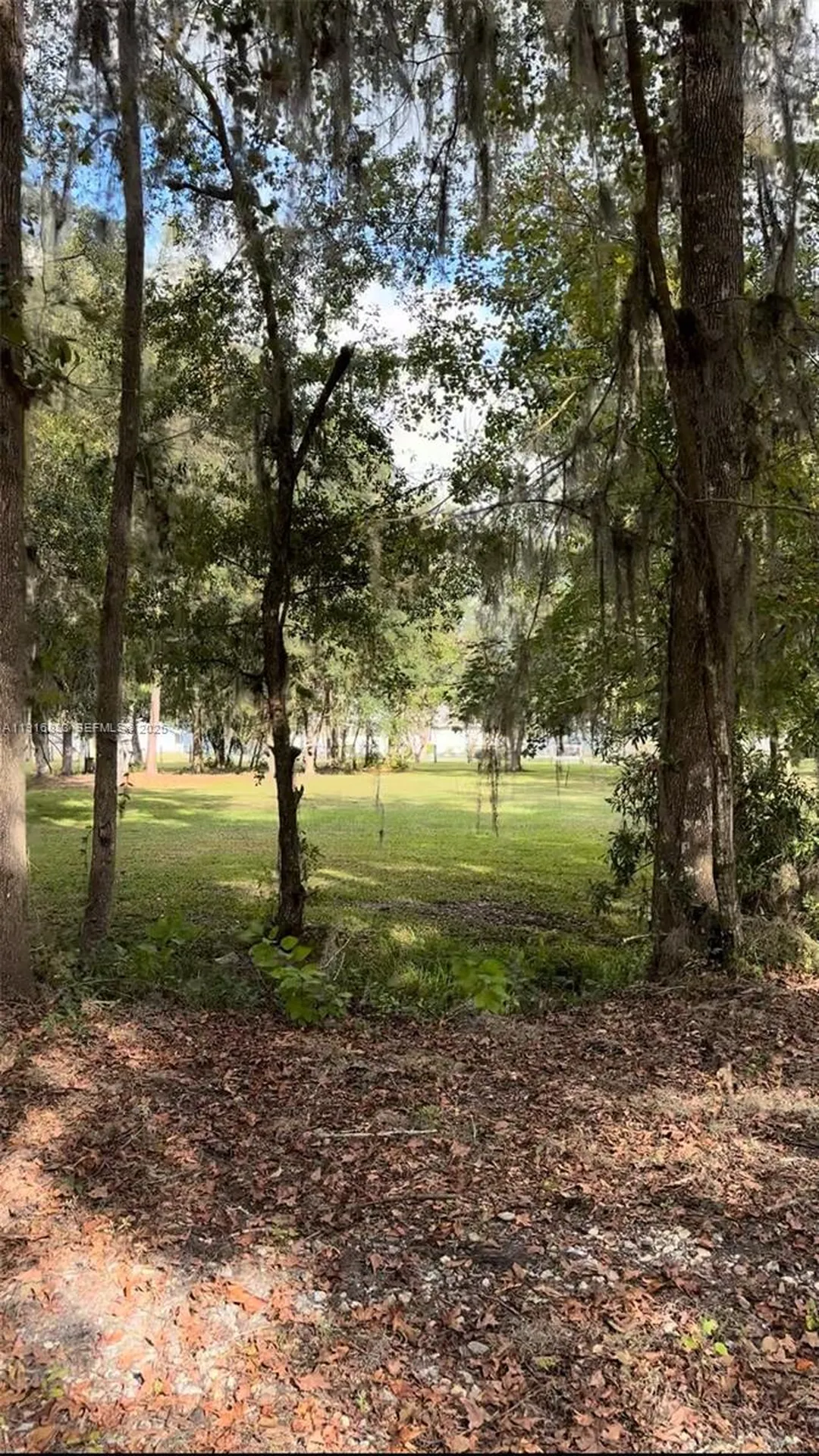 6169 County Road 209 S Other City - In The State Of Florida FL 32043