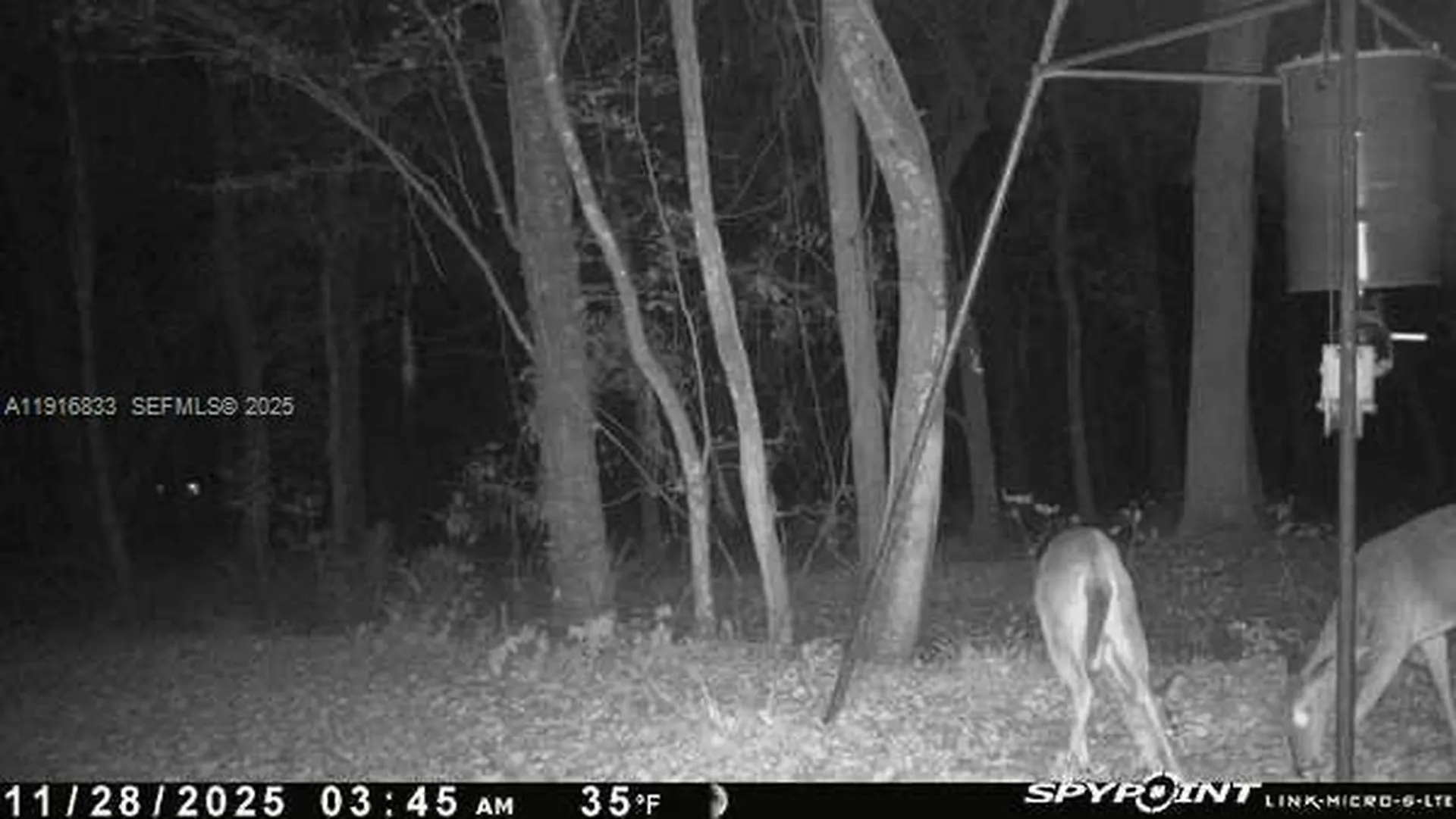 6169 County Road 209 S Other City - In The State Of Florida FL 32043