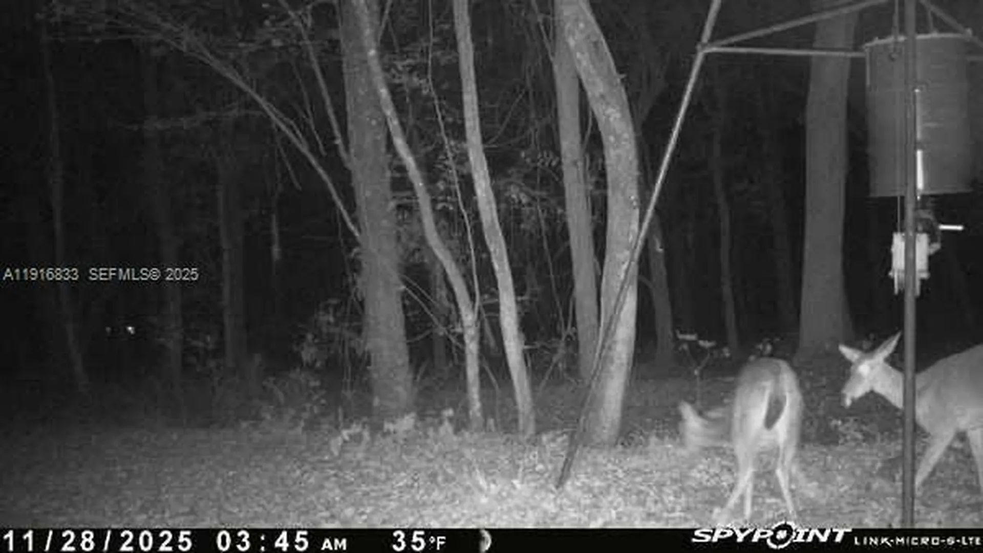 6169 County Road 209 S Other City - In The State Of Florida FL 32043