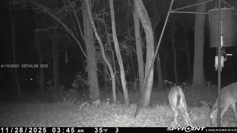 6169 County Road 209 S Other City - In The State Of Florida FL 32043
