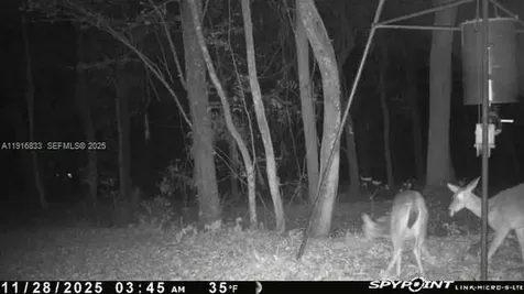6169 County Road 209 S Other City - In The State Of Florida FL 32043