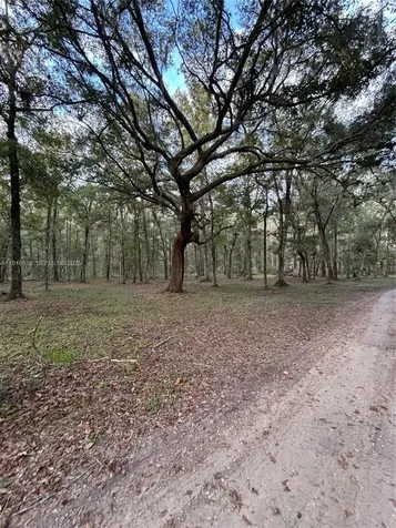 6169 County Road 209 S Other City - In The State Of Florida FL 32043