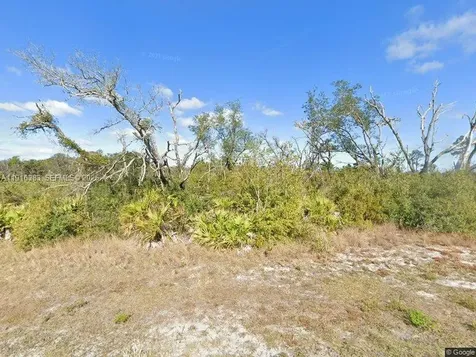 0 Tropicana Drive Other City - In The State Of Florida FL 33855