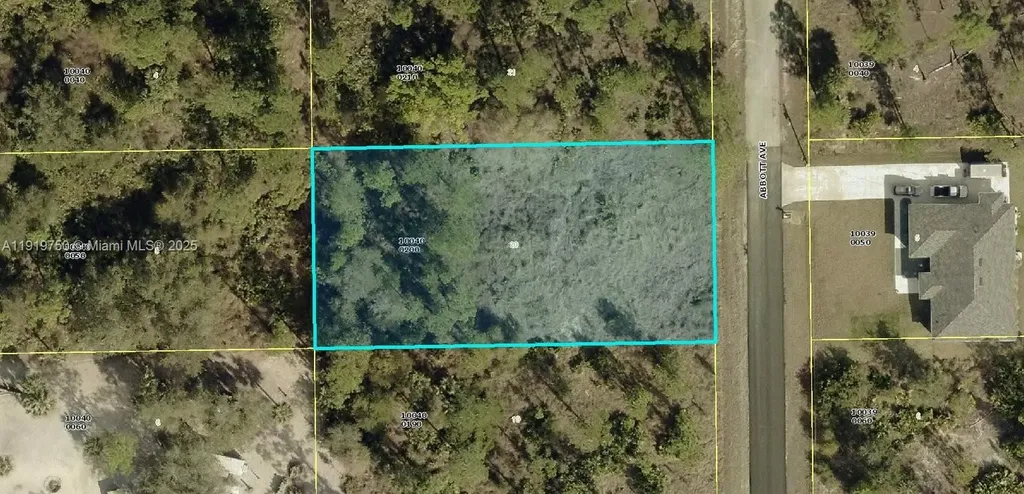 315 Abbott Avenue Lehigh Acres FL 33936