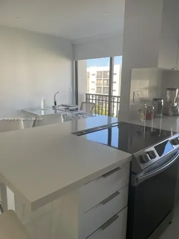 16909 N Bay Road Sunny Isles Beach FL 33160