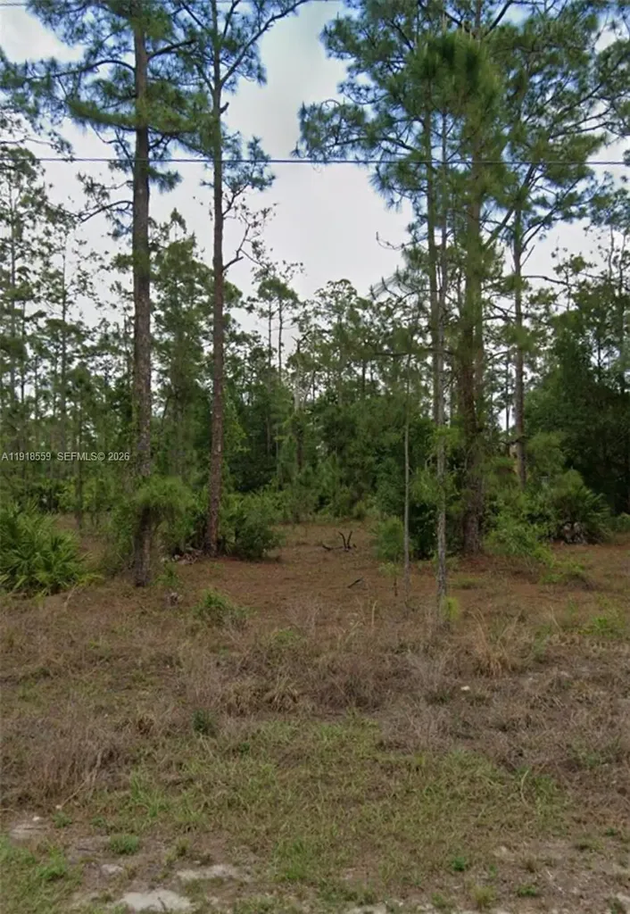 1004 Scott Avenue Lehigh Acres FL 33972