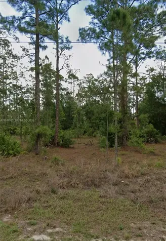 1004 Scott Avenue Lehigh Acres FL 33972