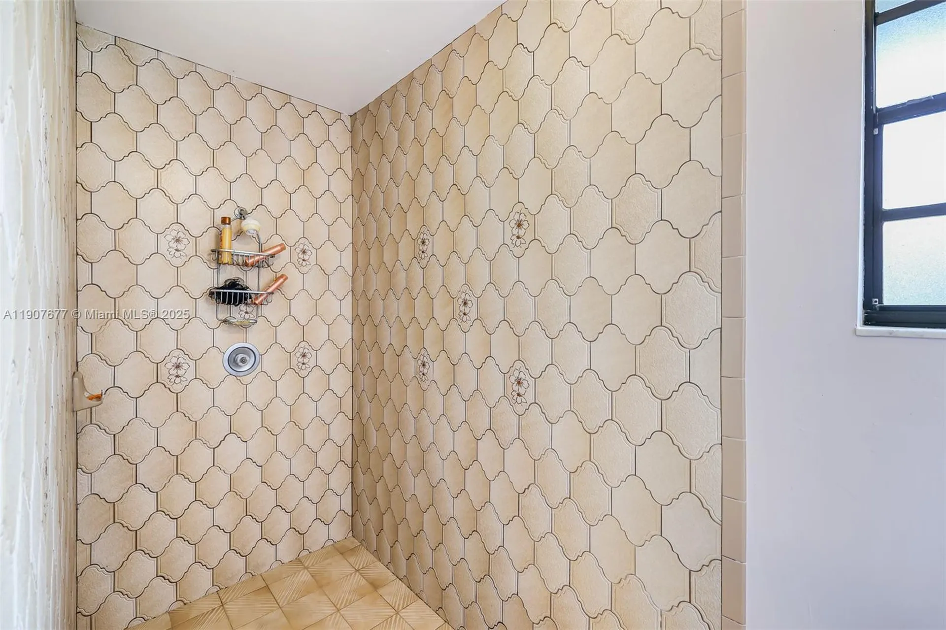 10963 NW 12th Manor Coral Springs FL 33071