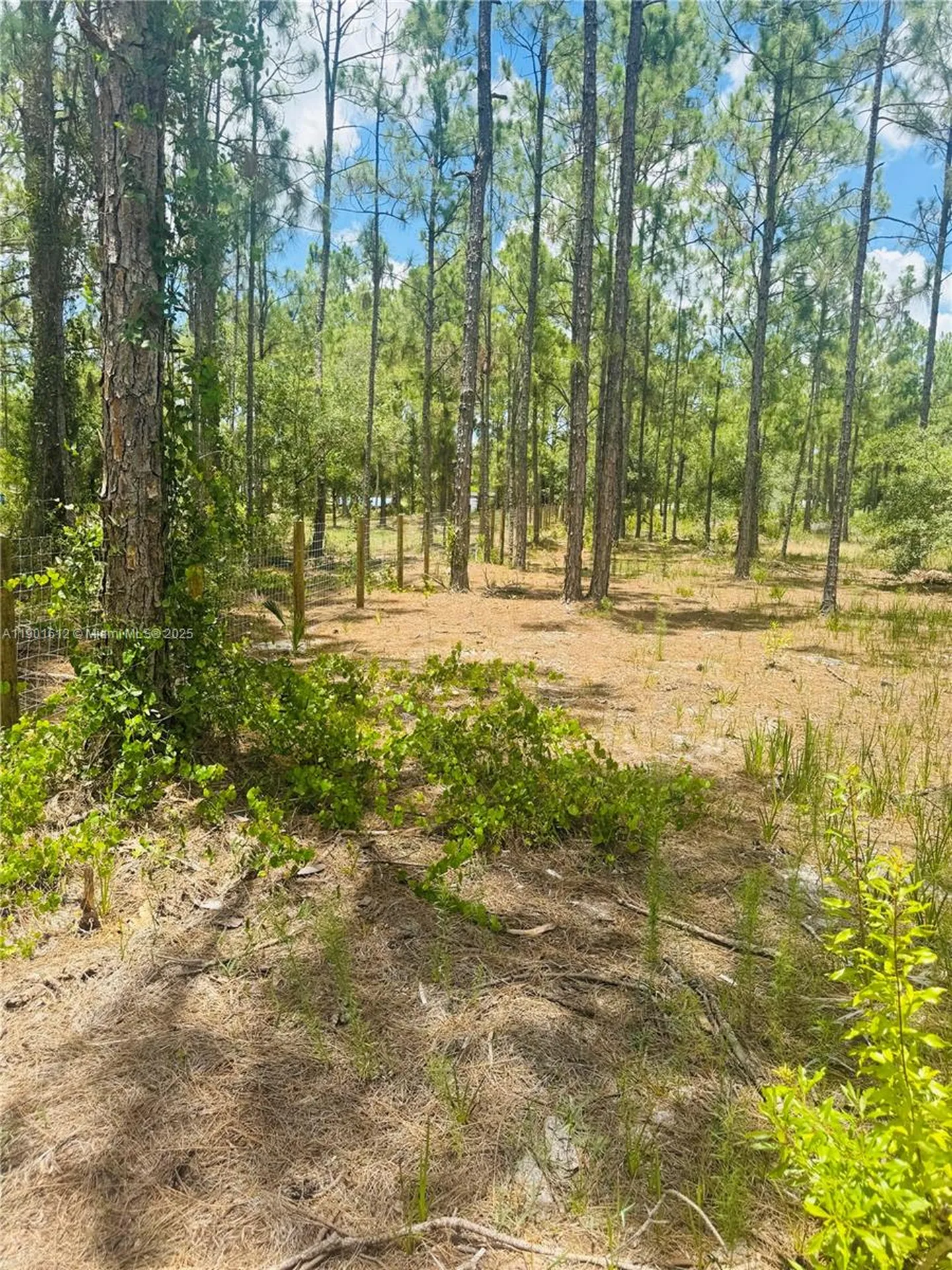5120 Pioneer Other City - In The State Of Florida FL 33440