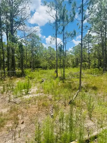 5120 Pioneer Other City - In The State Of Florida FL 33440