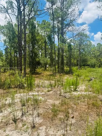 5120 Pioneer Other City - In The State Of Florida FL 33440