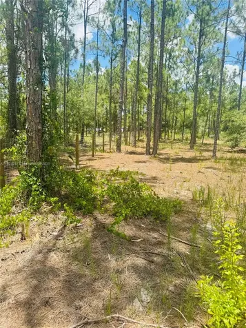 5120 Pioneer Other City - In The State Of Florida FL 33440