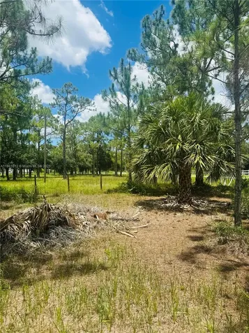 5120 Pioneer Other City - In The State Of Florida FL 33440