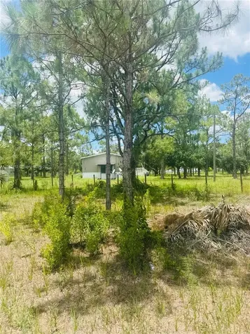 5120 Pioneer Other City - In The State Of Florida FL 33440