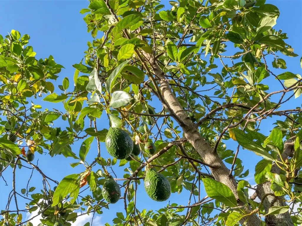 302 NW 120th Drive Coral Springs FL 33071