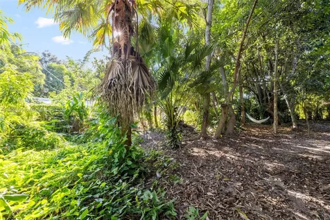 15290 SW 82nd Avenue Palmetto Bay FL 33157