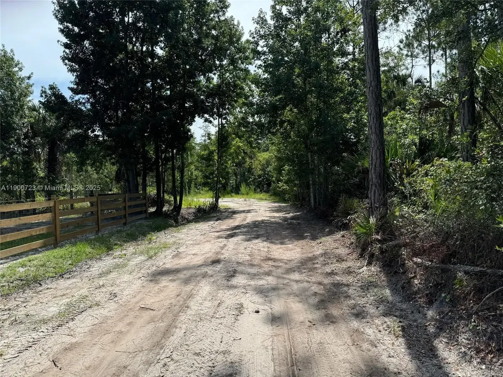 0 County Road 335 Other City - In The State Of Florida FL 32110