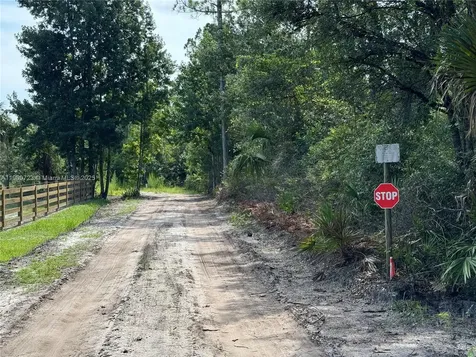 0 County Road 335 Other City - In The State Of Florida FL 32110