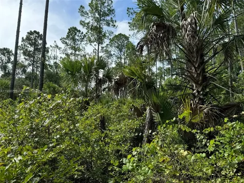0 County Road 335 Other City - In The State Of Florida FL 32110