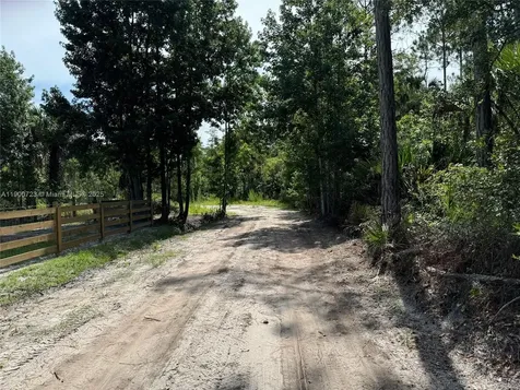0 County Road 335 Other City - In The State Of Florida FL 32110