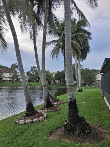 10830 NW 8th Street Pembroke Pines FL 33026