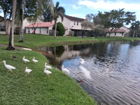 10830 NW 8th Street Pembroke Pines FL 33026