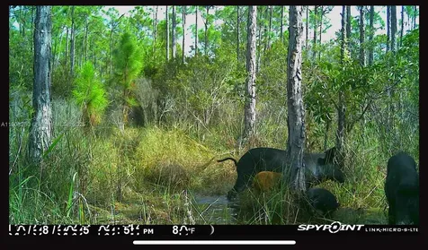 0000 Unassigned Indian Town FL 34956