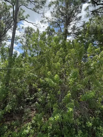0000 Unassigned Indian Town FL 34956