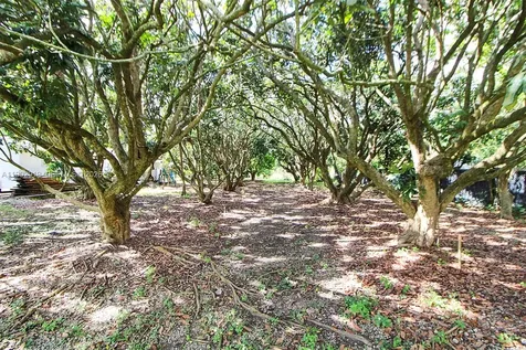37225 SW 214th Avenue Homestead FL 33034
