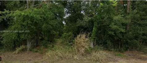 433 Claremont Avenue Lake Placid FL 33852