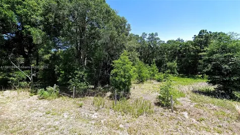Undetermined SW 200th Court Other City - In The State Of Florida FL 34431