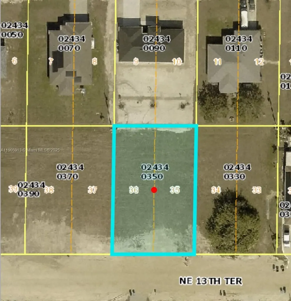 317 NE 13th Terrace Cape Coral FL 33909