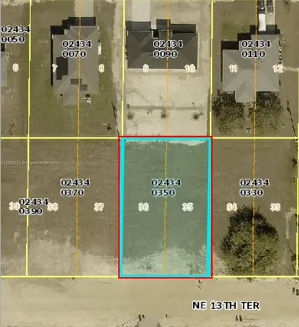 317 NE 13th Terrace Cape Coral FL 33909
