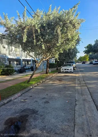 7155 Rue Notre Dame Miami Beach FL 33141