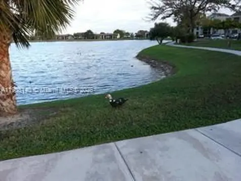 214 Lake Pointe Drive Oakland Park FL 33309