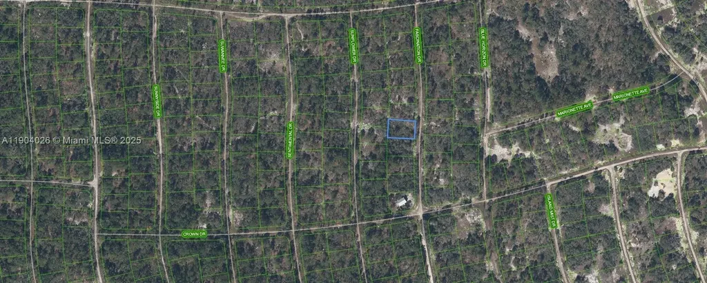252 Fascination Drive Lake Placid FL 33852