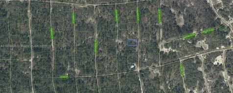 252 Fascination Drive Lake Placid FL 33852
