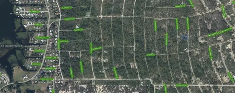 252 Fascination Drive Lake Placid FL 33852
