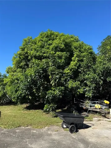 22900 SW 172nd Avenue Miami FL 33170